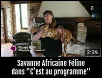 Nos Savannah sur France 2