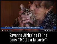 Nos Savannah sur France 3