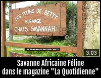 Nos Savannah sur France 5