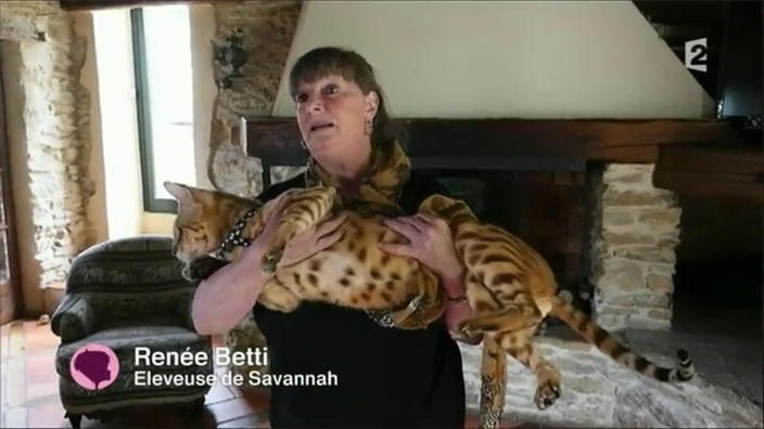 Reportage sur l'élevage Savanne Africaine Feline diffusé pendant l'émission C'est au Programme de France 2